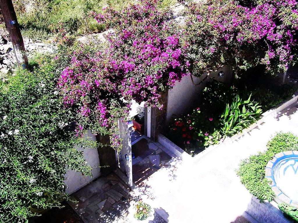 Koralli Studios Korissia  Exterior foto